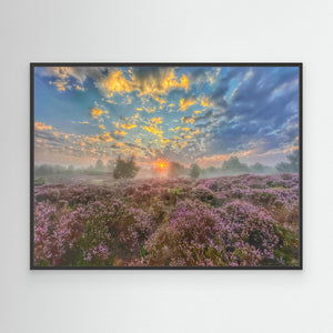 Tulloch Moor Sunrise - canvas print from original photograph - Cairngorm Artists