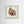 Winter Squirrel - Fine Art prints from original artwork - Cairngorm Artists