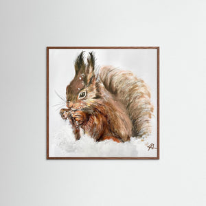 Winter Squirrel - Fine Art prints from original artwork - Cairngorm Artists