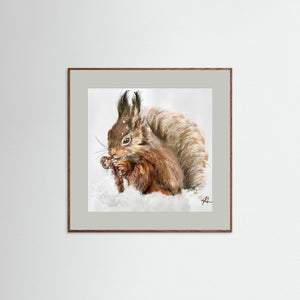 Winter Squirrel - Fine Art prints from original artwork - Cairngorm Artists