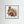 Winter Squirrel - Fine Art prints from original artwork - Cairngorm Artists
