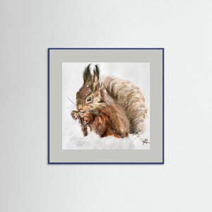 Winter Squirrel - Fine Art prints from original artwork - Cairngorm Artists