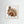 Winter Squirrel - Fine Art prints from original artwork - Cairngorm Artists