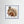 Winter Squirrel - Fine Art prints from original artwork - Cairngorm Artists