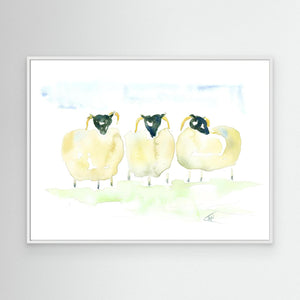 Woolly Trio - canvas print from original artwork - Cairngorm Artists