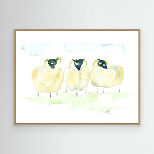 Woolly Trio - canvas print from original artwork - Cairngorm Artists