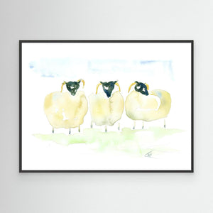 Woolly Trio - canvas print from original artwork - Cairngorm Artists
